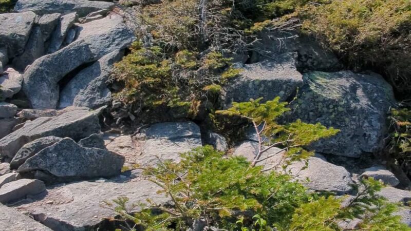 Kinsman Ridge Trailhead - Franconia, NH