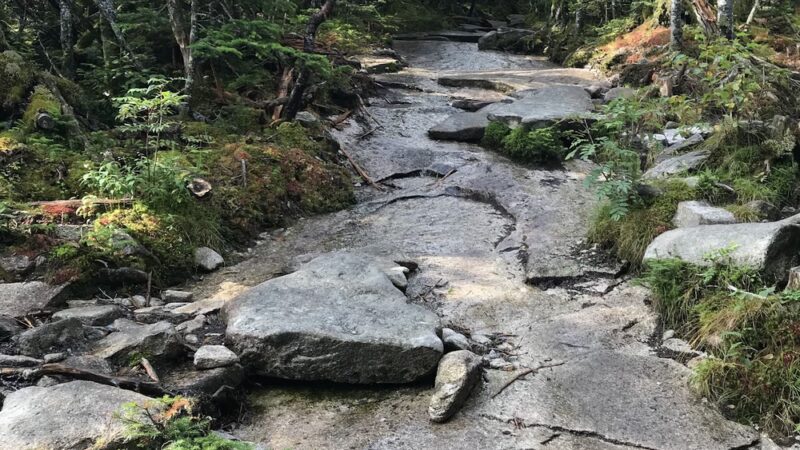 Kinsman Ridge Trailhead - Franconia, NH