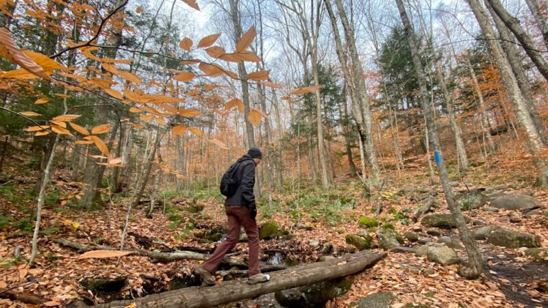 Mount Pemigewasset - Franconia, NH