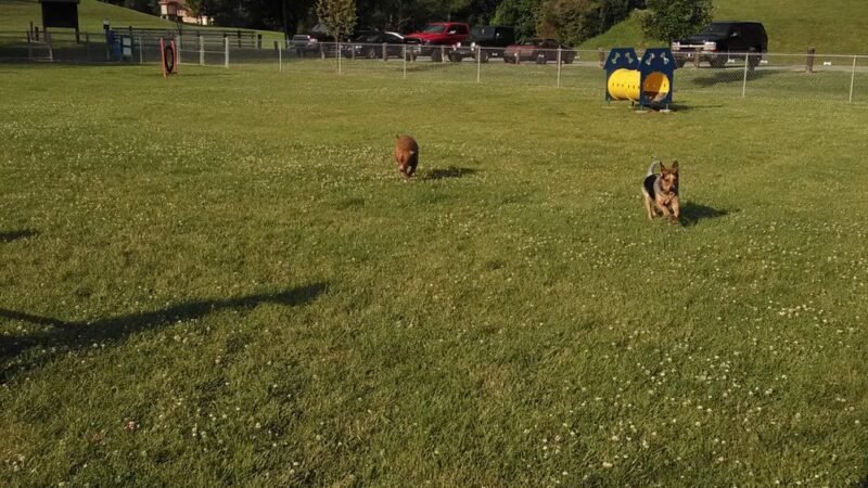 Memorial Park Dog Park (Hund Platz) - Frankenmuth, MI