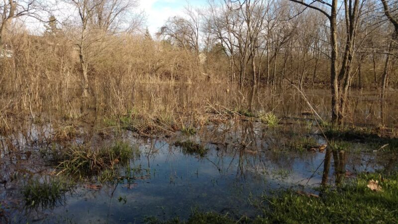 Butternut Creek Woods Park - Frankfort, IL