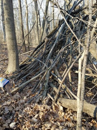 Butternut Creek Woods Park - Frankfort, IL