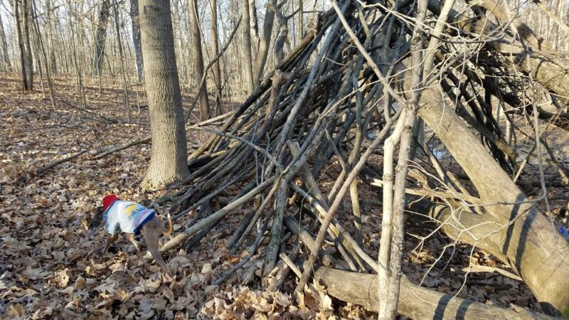 Butternut Creek Woods Park - Frankfort, IL