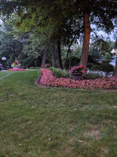 Butternut Creek Woods Park - Frankfort, IL