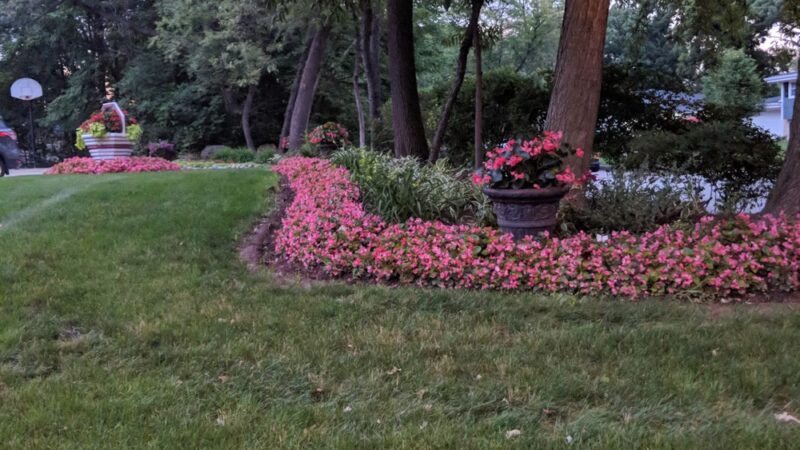 Butternut Creek Woods Park - Frankfort, IL
