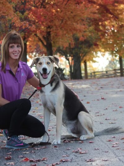 Club K9 at the Ranch - Frankfort, IL