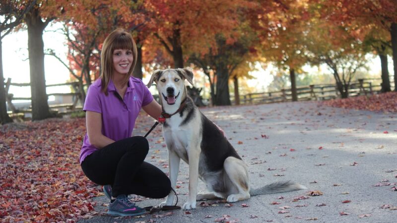 Club K9 at the Ranch - Frankfort, IL