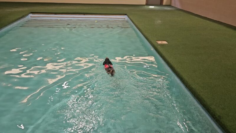 Club K9 at the Ranch - Frankfort, IL