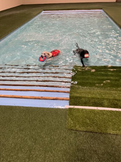 Club K9 at the Ranch - Frankfort, IL