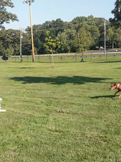 Commissioners Park - Frankfort, IL