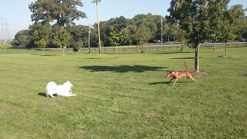 Commissioners Park - Frankfort, IL