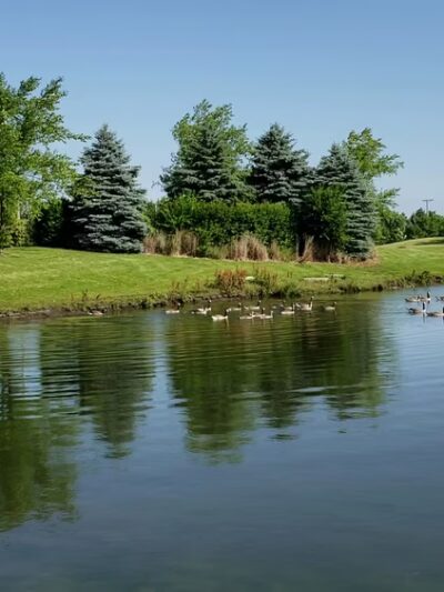 Roy and Dorothy Janssen Park - Frankfort, IL