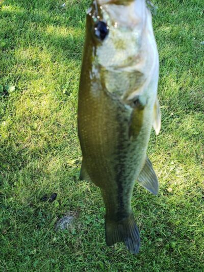 Roy and Dorothy Janssen Park - Frankfort, IL
