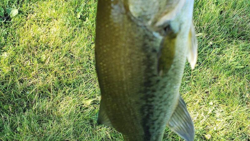 Roy and Dorothy Janssen Park - Frankfort, IL