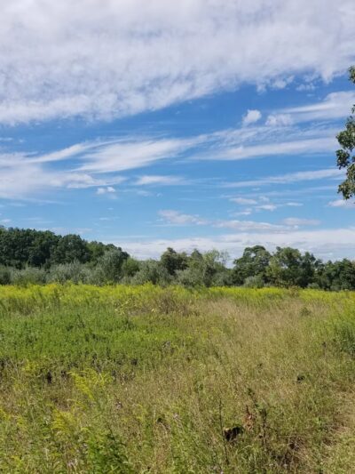 Conservation Area - Franklin Park, NJ