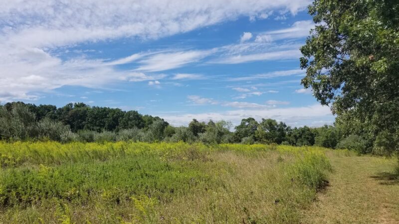Conservation Area - Franklin Park, NJ