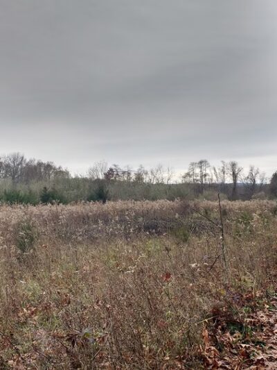 Franklin Park Natural Area - Franklin Park, NJ