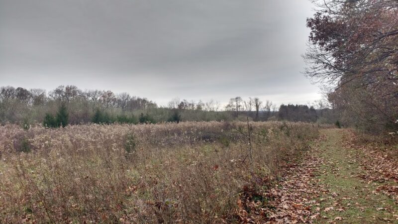 Franklin Park Natural Area - Franklin Park, NJ