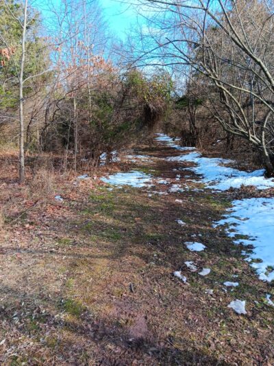 Franklin Park Natural Area - Franklin Park, NJ