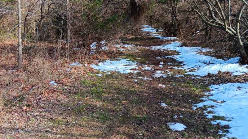 Franklin Park Natural Area - Franklin Park, NJ