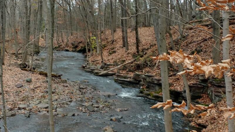 Franklin Park Natural Area - Franklin Park, NJ