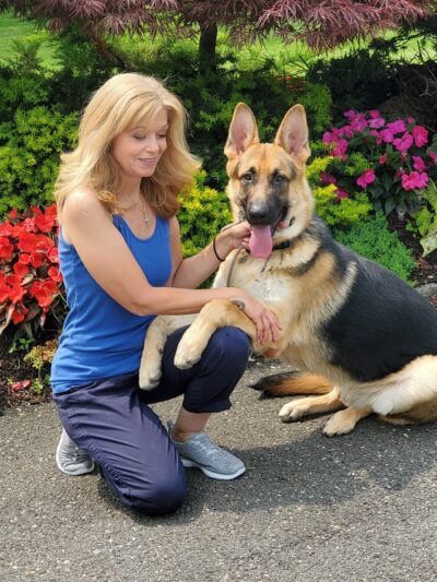 Alpha Dog K9 Training - Franklin Square, NY