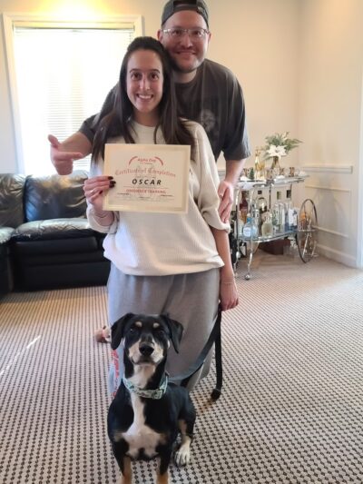 Alpha Dog K9 Training - Franklin Square, NY