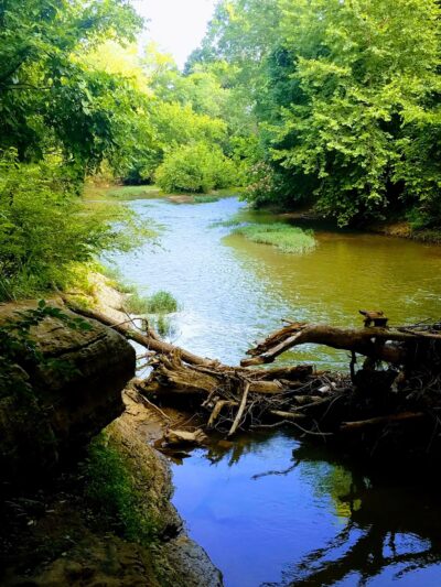 Lynwood Park - Franklin, TN