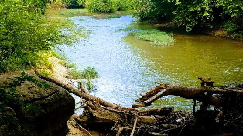 Lynwood Park - Franklin, TN
