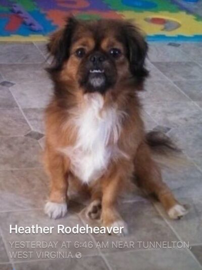 Pendleton Animal Welfare Shelter - Franklin, WV