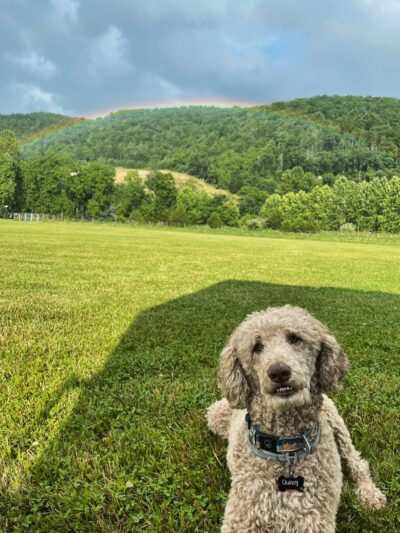 Smalltown Campsites, LLC - Franklin, WV