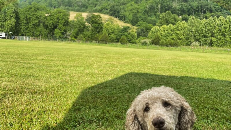 Smalltown Campsites, LLC - Franklin, WV