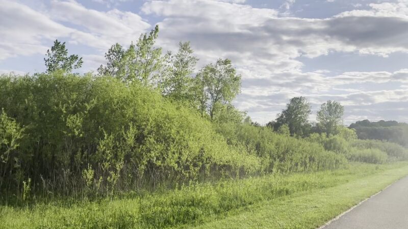 Froemming Park - Franklin, WI