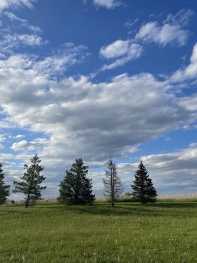 Froemming Park - Franklin, WI