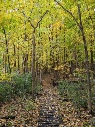 Trail and bike pathway - Franklin, WI