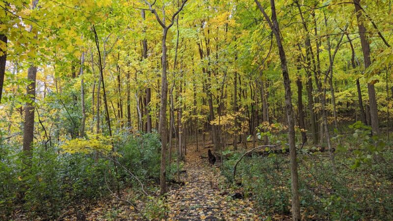 Trail and bike pathway - Franklin, WI