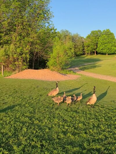 Whitnall Park - Franklin, WI