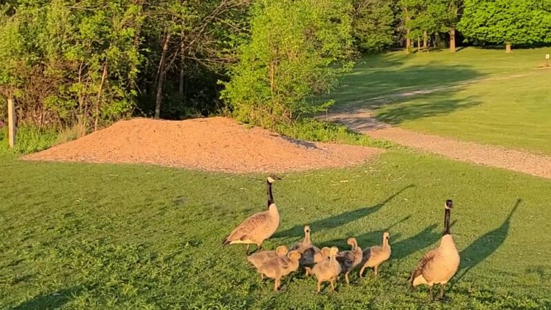 Whitnall Park - Franklin, WI