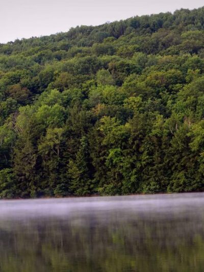 Case Lake Park - Franklinville, NY