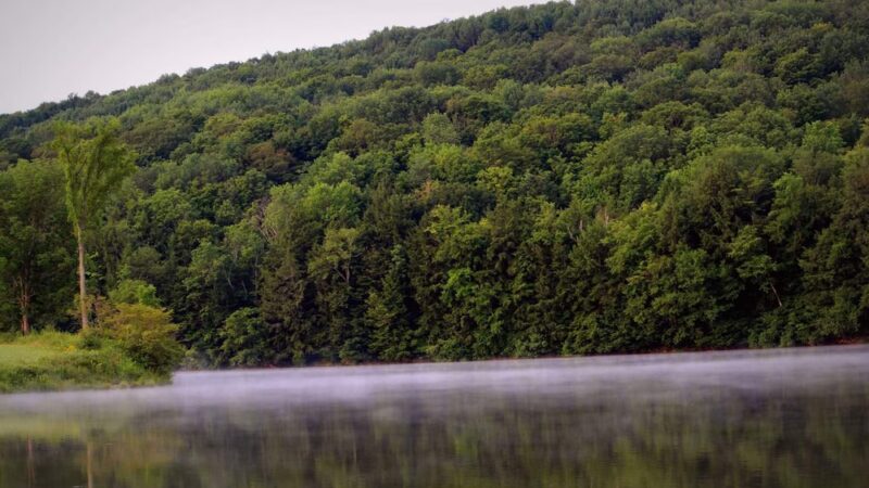 Case Lake Park - Franklinville, NY
