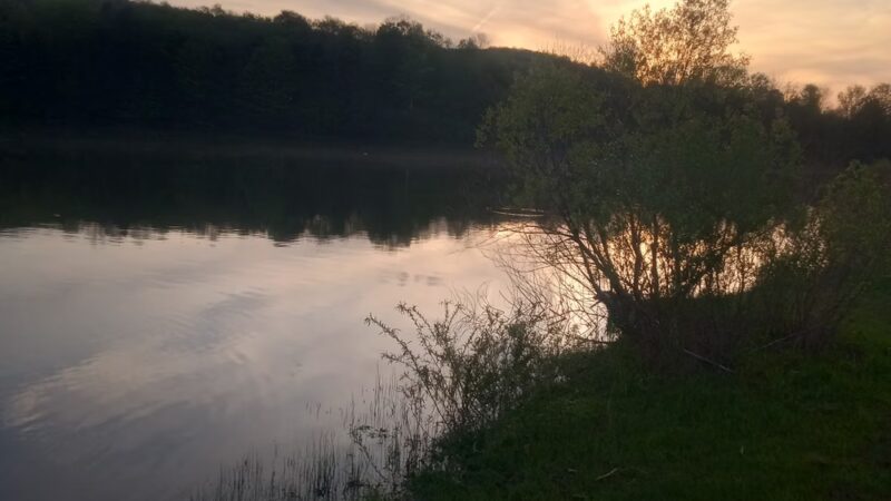 Case Lake Park - Franklinville, NY