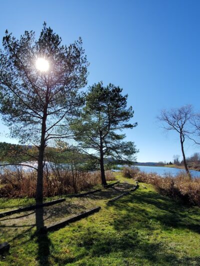 Harwood Lake Multiple Use Area - Franklinville, NY