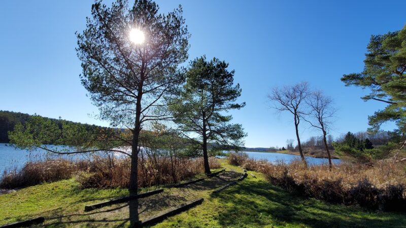Harwood Lake Multiple Use Area - Franklinville, NY