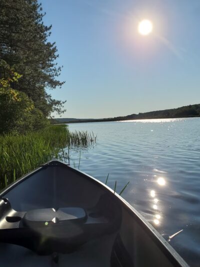 Harwood Lake Multiple Use Area - Franklinville, NY