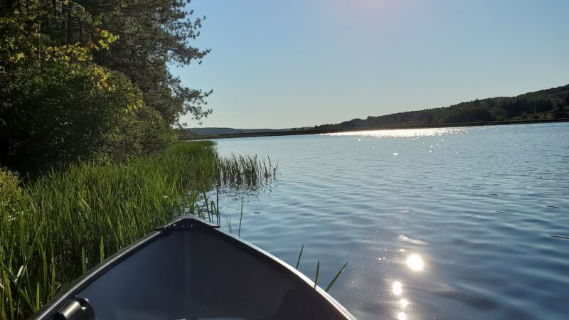 Harwood Lake Multiple Use Area - Franklinville, NY