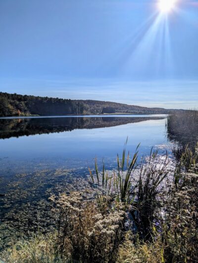 Harwood Lake Multiple Use Area - Franklinville, NY