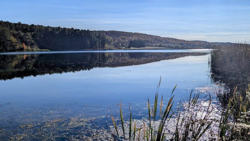 Harwood Lake Multiple Use Area - Franklinville, NY