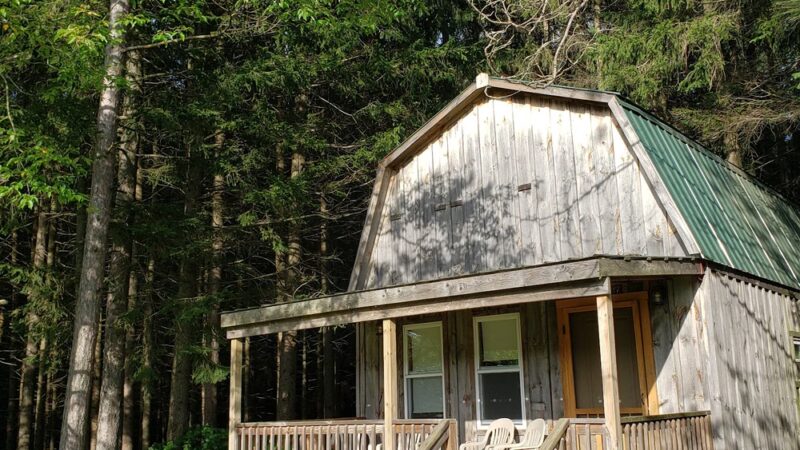 Shamrock Pines Campground - Franklinville, NY