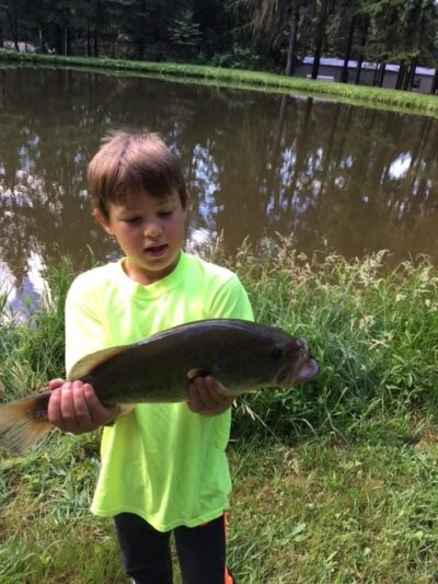 Shamrock Pines Campground - Franklinville, NY
