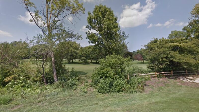 Caledonia Dog Park, dog Beach 2 - Franksville, WI